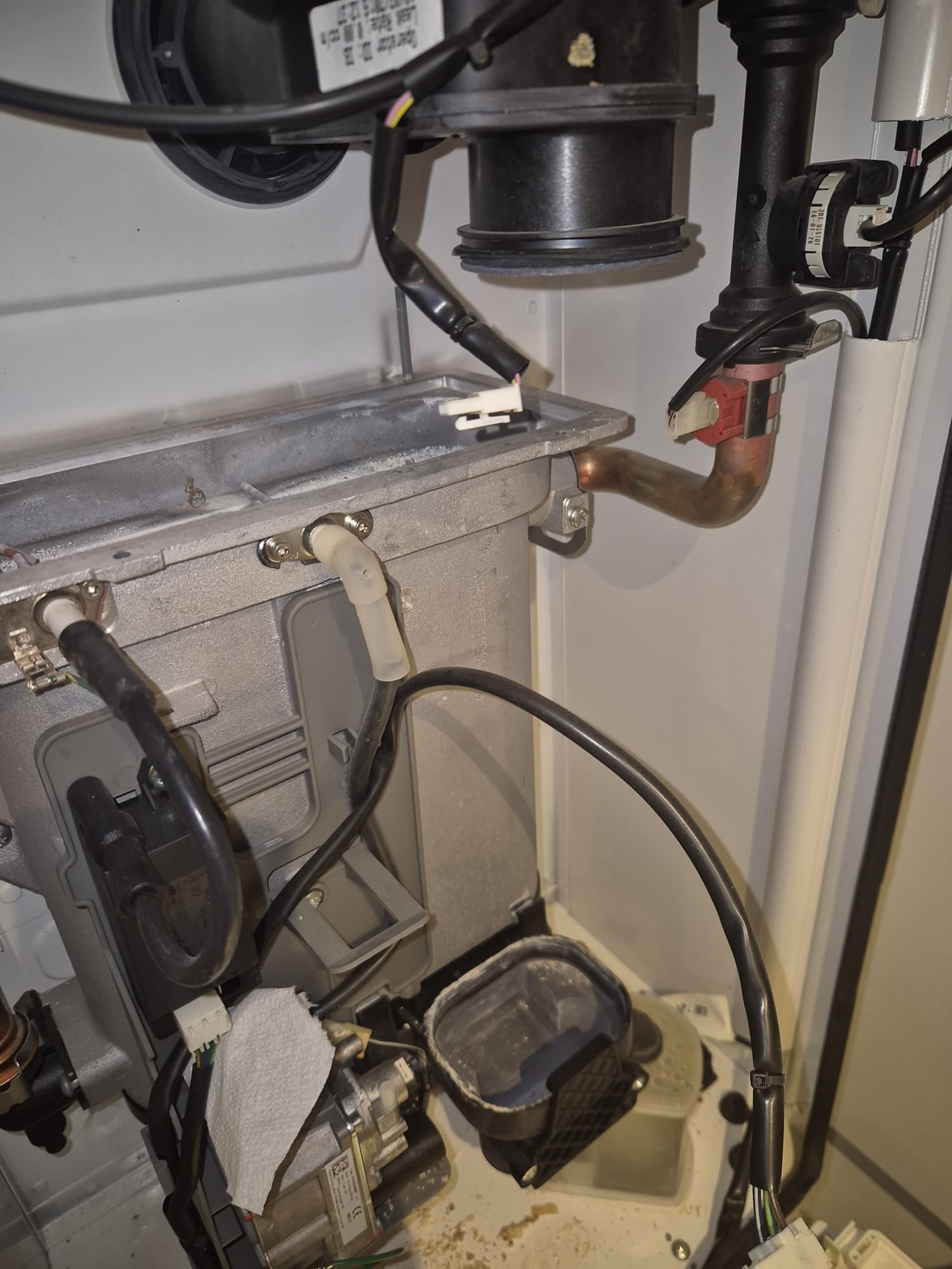 Engineer installing boiler